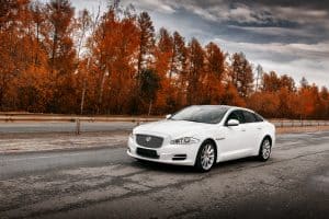 oroscopo bologna gomme 2019 scorpione jaguar xj bianca