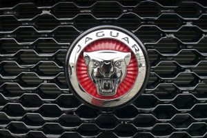 oroscopo bologna gomme scorpione simbolo jaguar