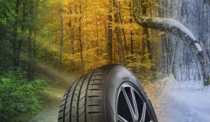 gomme all season