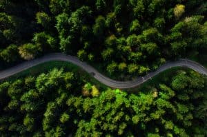 strada nel verde