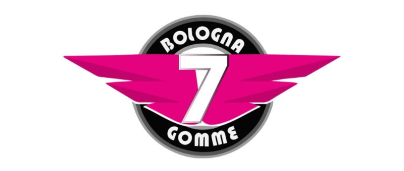 Logo bg7