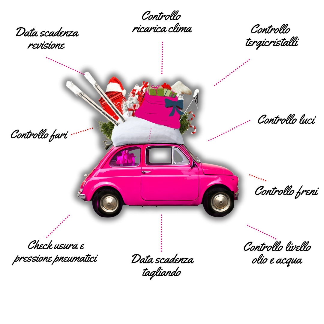 controllo auto vacanze natale 2024 bologna e provincia sito