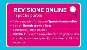 verifica revisione online