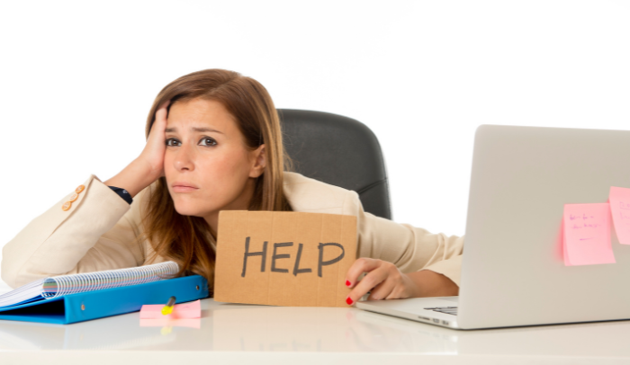 verifica revisione online bologna