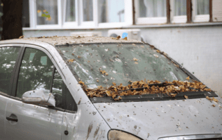 Auto parcheggiata da settimane con foglie secche e sporco sul parabrezza