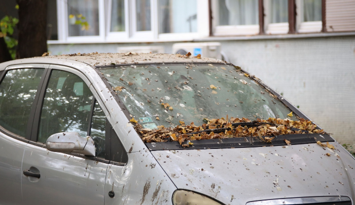 Auto parcheggiata da settimane con foglie secche e sporco sul parabrezza